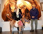 EQUUSFF-11-2016-8667-NinaGlaichevaPhoto