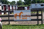 GallopNYC Sunrise-Farm-06-26-22-0903-DDeRosaPhoto