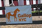 GallopNYC Sunrise-Farm-06-26-22-1196-DDeRosaPhoto