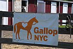 GallopNYC Sunrise-Farm-06-26-22-1197-DDeRosaPhoto