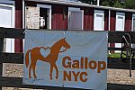GallopNYC Sunrise-Farm-06-26-22-1198-DDeRosaPhoto