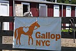 GallopNYC Sunrise-Farm-06-26-22-1200-DDeRosaPhoto