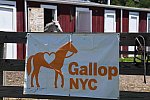 GallopNYC Sunrise-Farm-06-26-22-1201-DDeRosaPhoto