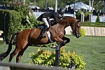 HC-8-26-12-MollyCawley-Kennzo-HtrDrby-9613-DDeRosaPhoto
