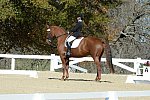 HHB-DressageFinals-11-8-13-0592-DDeRosaPhoto
