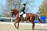 HHB-DressageFinals-11-8-13-0608-DDeRosaPhoto