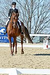 HHB-DressageFinals-11-8-13-0614-DDeRosaPhoto