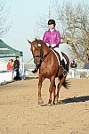 HHB-DressageFinals-11-9-13-2112-DDeRosaPhoto