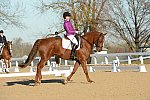HHB-DressageFinals-11-9-13-2154-DDeRosaPhoto