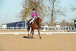 HHB-DressageFinals-11-9-13-2169-DDeRosaPhoto