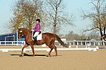 HHB-DressageFinals-11-9-13-2174-DDeRosaPhoto