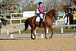 HHB-DressageFinals-11-9-13-2182-DDeRosaPhoto