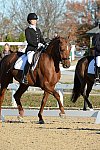 HHB-DressageFinals-11-9-13-2218-DDeRosaPhoto