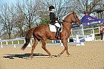 HHB-DressageFinals-11-9-13-2222-DDeRosaPhoto