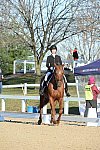 HHB-DressageFinals-11-9-13-2227-DDeRosaPhoto