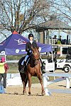 HHB-DressageFinals-11-9-13-2229-DDeRosaPhoto
