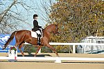 HHB-DressageFinals-11-9-13-2251-DDeRosaPhoto