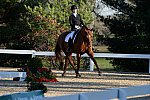 HHB-DressageFinals-11-9-13-2252-DDeRosaPhoto