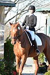 HHB-DressageFinals-11-9-13-2260-DDeRosaPhoto