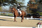 HHB-DressageFinals-11-9-13-2267-DDeRosaPhoto