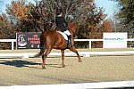 HHB-DressageFinals-11-9-13-2277-DDeRosaPhoto