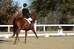 HHB-DressageFinals-11-9-13-2278-DDeRosaPhoto