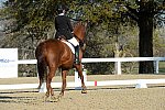 HHB-DressageFinals-11-9-13-2279-DDeRosaPhoto