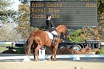 HHB-DressageFinals-11-9-13-2280-DDeRosaPhoto