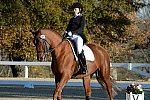 HHB-DressageFinals-11-9-13-2281-DDeRosaPhoto