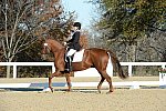 HHB-DressageFinals-11-9-13-2283-DDeRosaPhoto