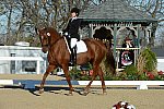 HHB-DressageFinals-11-9-13-2286-DDeRosaPhoto