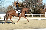 HHB-DressageFinals-11-9-13-2293-DDeRosaPhoto