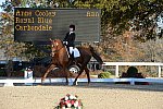 HHB-DressageFinals-11-9-13-2301-DDeRosaPhoto