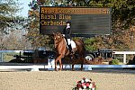 HHB-DressageFinals-11-9-13-2302-DDeRosaPhoto
