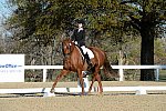 HHB-DressageFinals-11-9-13-2306-DDeRosaPhoto