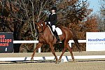 HHB-DressageFinals-11-9-13-2308-DDeRosaPhoto
