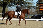 HHB-DressageFinals-11-9-13-2313-DDeRosaPhoto