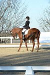 HHB-DressageFinals-11-9-13-2320-DDeRosaPhoto
