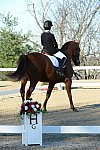 HHB-DressageFinals-11-9-13-2326-DDeRosaPhoto
