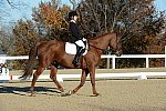 HHB-DressageFinals-11-9-13-2333-DDeRosaPhoto