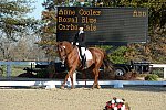 HHB-DressageFinals-11-9-13-2342-DDeRosaPhoto