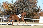 HHB-DressageFinals-11-9-13-2356-DDeRosaPhoto