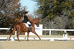 HHB-DressageFinals-11-9-13-2357-DDeRosaPhoto