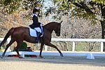 HHB-DressageFinals-11-9-13-2358-DDeRosaPhoto