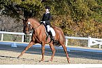 HHB-DressageFinals-11-9-13-2360-DDeRosaPhoto