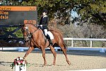 HHB-DressageFinals-11-9-13-2362-DDeRosaPhoto