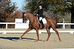 HHB-DressageFinals-11-9-13-2365-DDeRosaPhoto