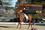 HHB-DressageFinals-11-9-13-2373-DDeRosaPhoto