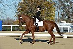 HHB-DressageFinals-11-9-13-2380-DDeRosaPhoto