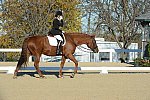 HHB-DressageFinals-11-9-13-2389-DDeRosaPhoto
